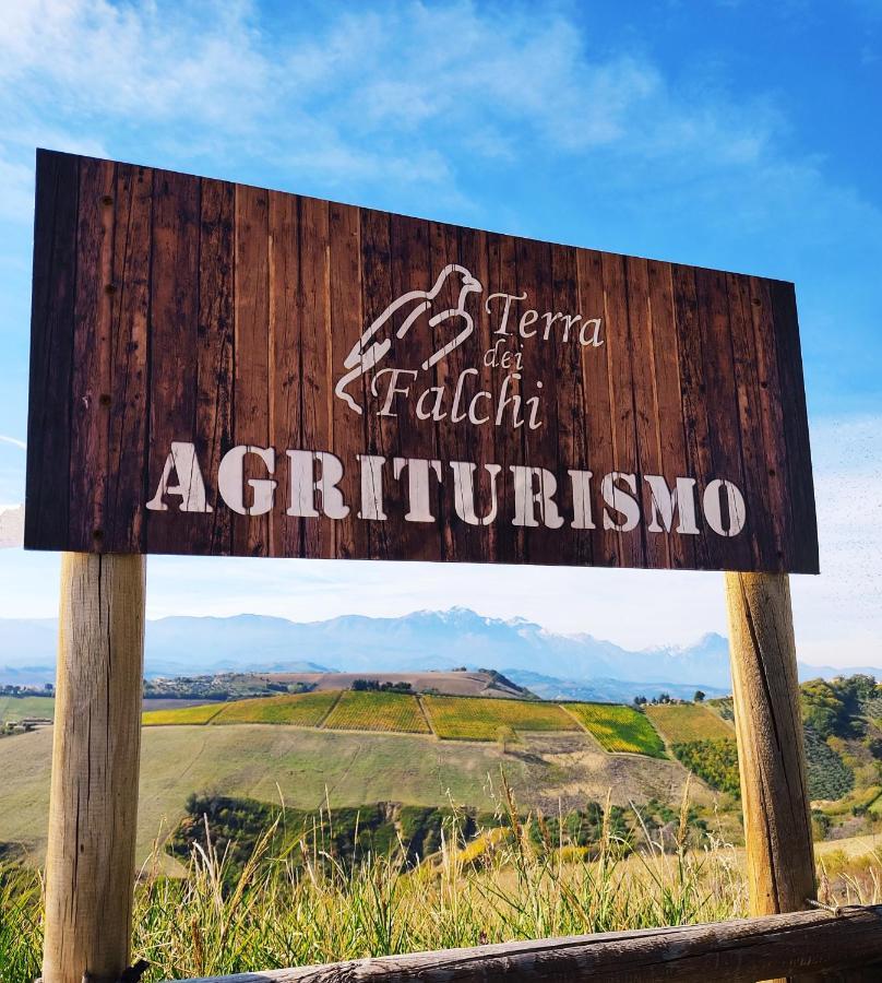 Agriturismo Terra Dei Falchi Castilenti Экстерьер фото
