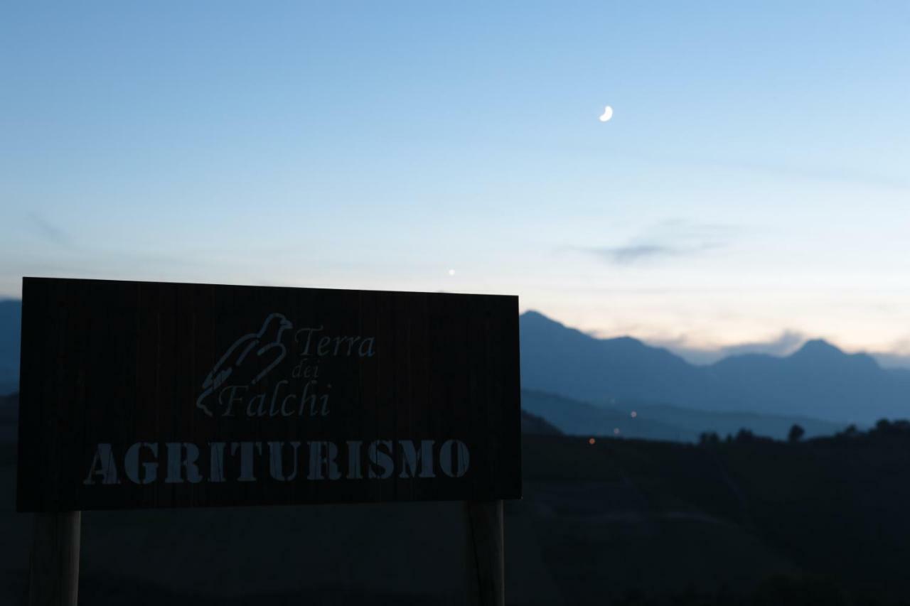 Agriturismo Terra Dei Falchi Castilenti Экстерьер фото